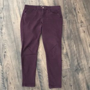 Democracy Plum pant